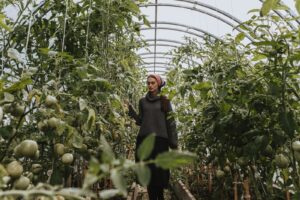 Ogród botaniczny – przewodnik po unikalnych gatunkach roślin