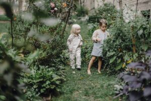 Rośliny, które zachwycą Cię swoim niewielkim rozmiarem