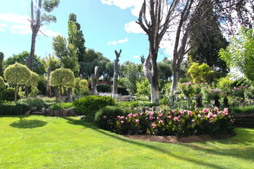green grass field with trees and flowers